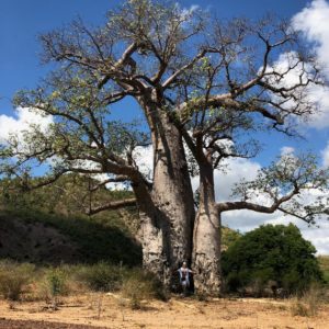 reklamnyj-tur-na-madagaskar-17