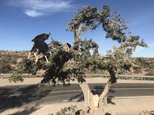 grand-tur-v-morocco-funway-holidays (16)