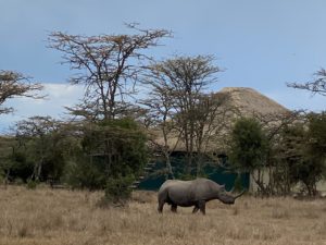 kenya-tour-kyiv (1)