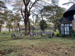 kenya-tour-kyiv (22)