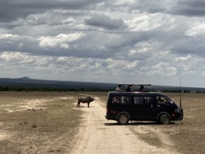 kenya-tour-kyiv (4)